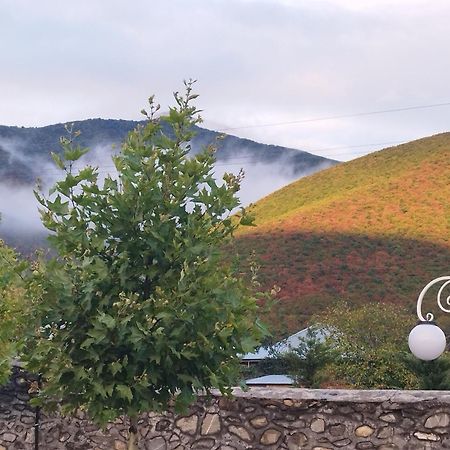 Tulpan Hotel Sheki Exterior photo
