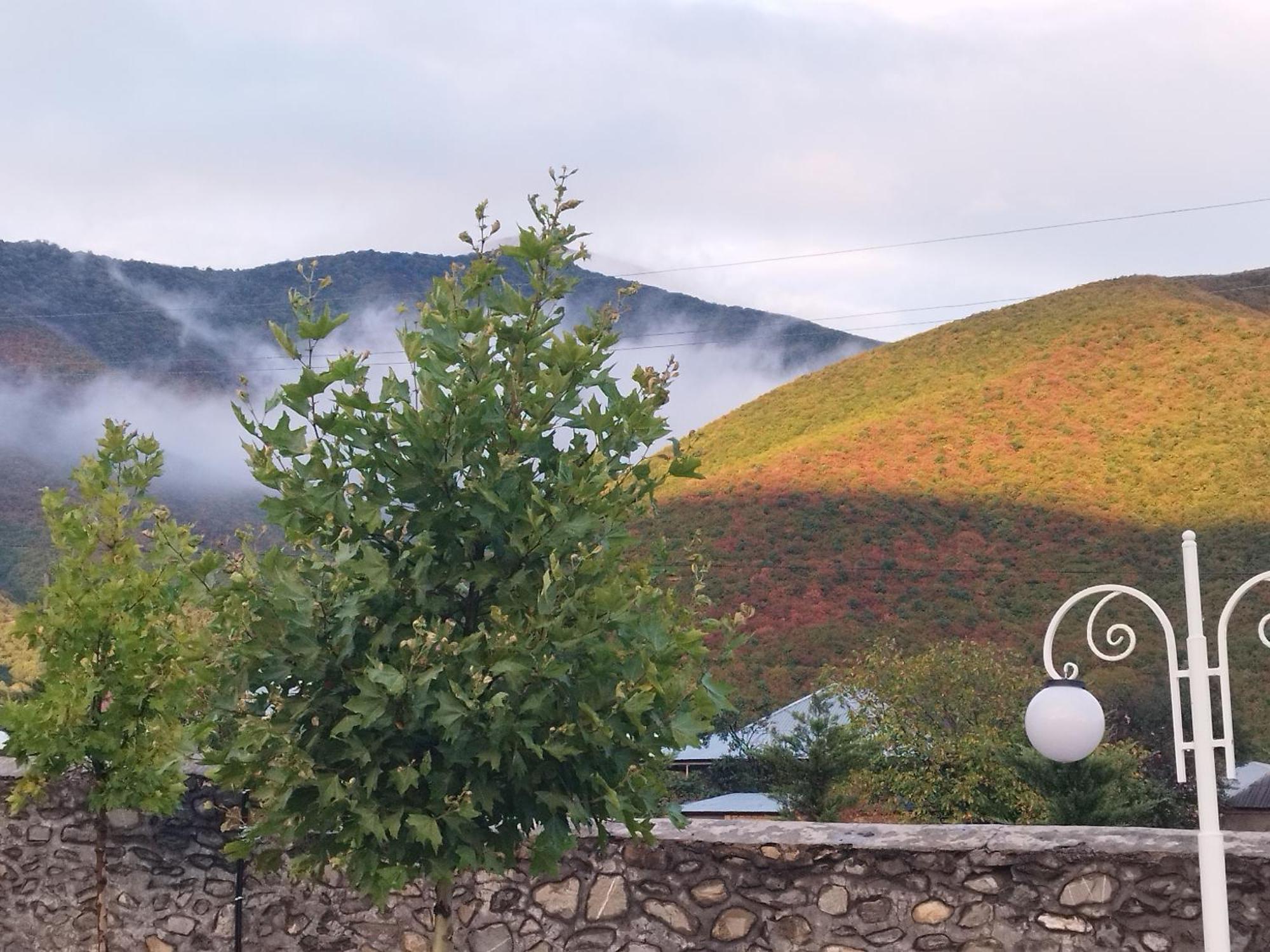 Tulpan Hotel Sheki Exterior photo